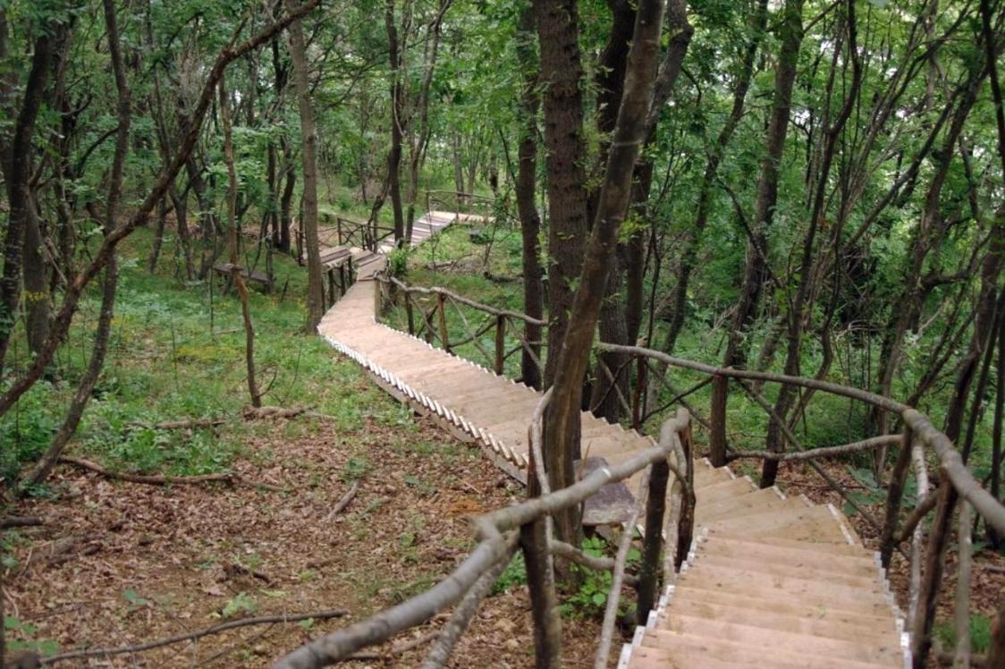 Crosswaybg Apartman Obzor Kültér fotó